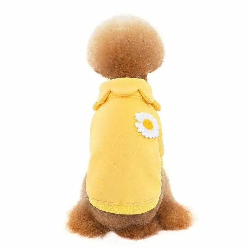 dog clothes Yellow M KLN20014 Pets Qatar