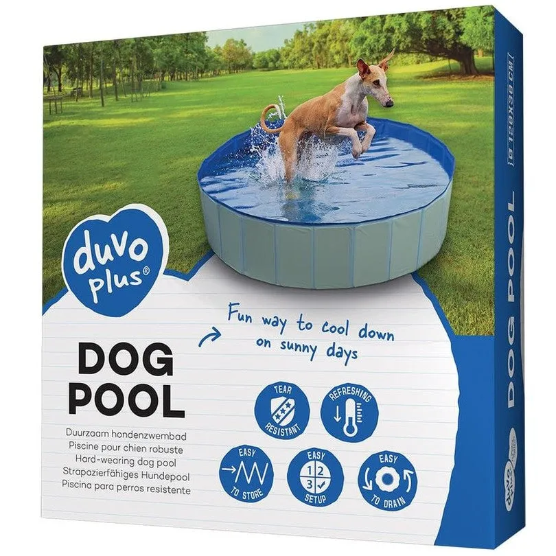 Dog Pool  Blue Pets Qatar