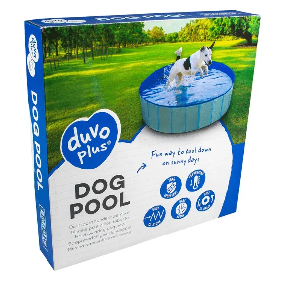 Dog Pool  Blue Pets Qatar