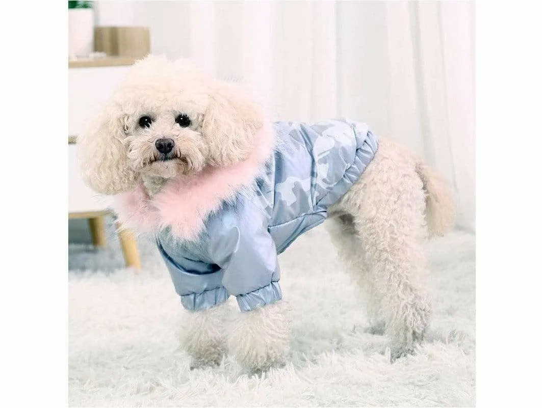 Dog S Chest 40cm Silver Pets Qatar