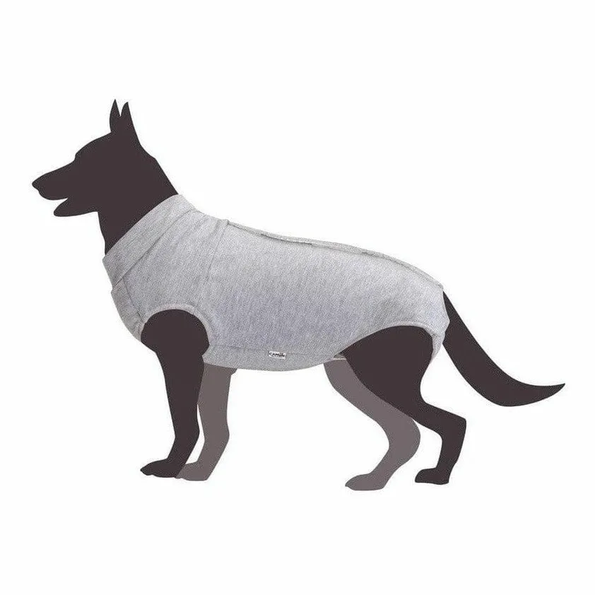 Dog shirt for post-operative care - 30 Pets Qatar