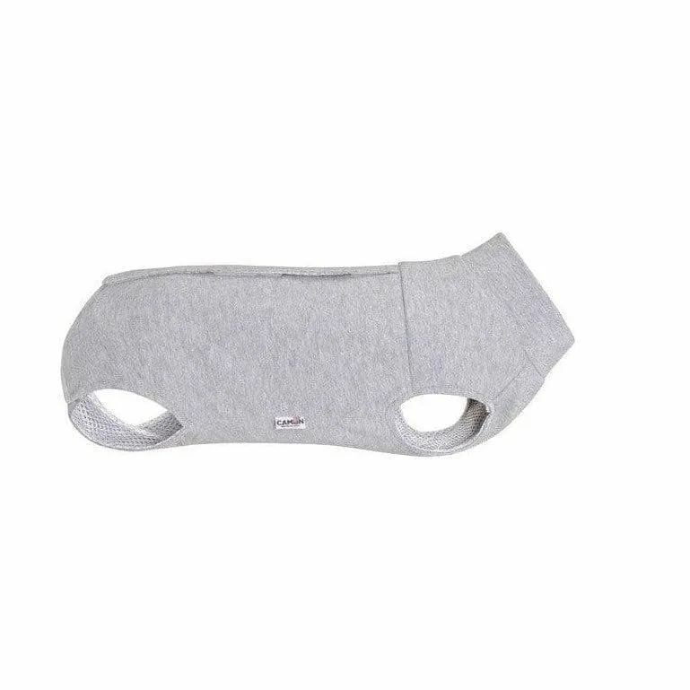 Dog shirt for post-operative care - 30 Pets Qatar