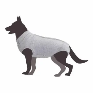 Dog shirt for post-operative care - 30 Pets Qatar