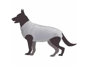 Dog shirt for post-operative care -60 Pets Qatar