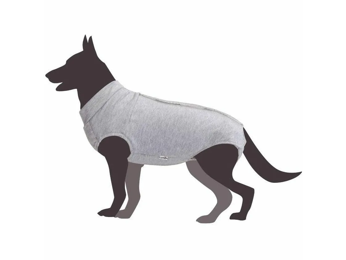Dog shirt for post-operative care -60 Pets Qatar