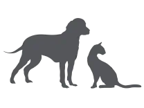 Dr Seidel-Flawitol Oil Omega Super Taste - Improves Taste Of Pet Food 250 Ml Pets Qatar
