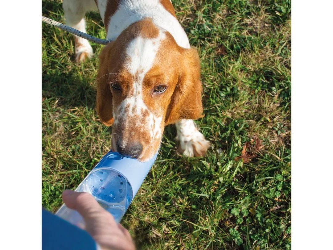 Drinking Bottle 300Ml - 28,5X6,5X6,5 Pets Qatar