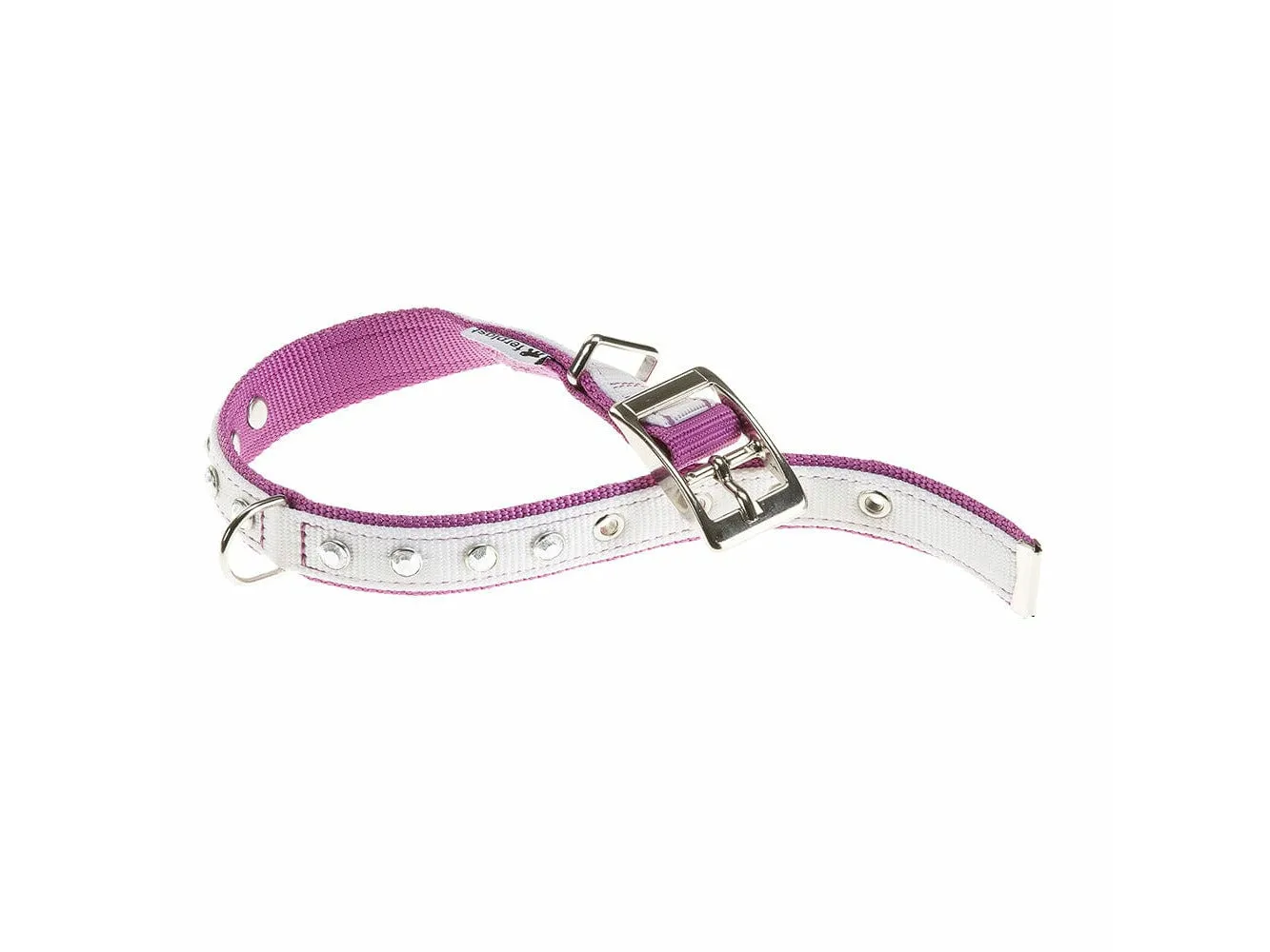 Dual Cf15/35 St C.White-Purple Pets Qatar