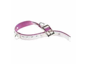 Dual Cf15/35 St C.White-Purple Pets Qatar