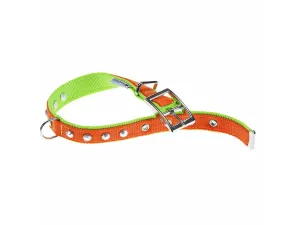 Dual Cf25/45 St C.Orange-Green Pets Qatar