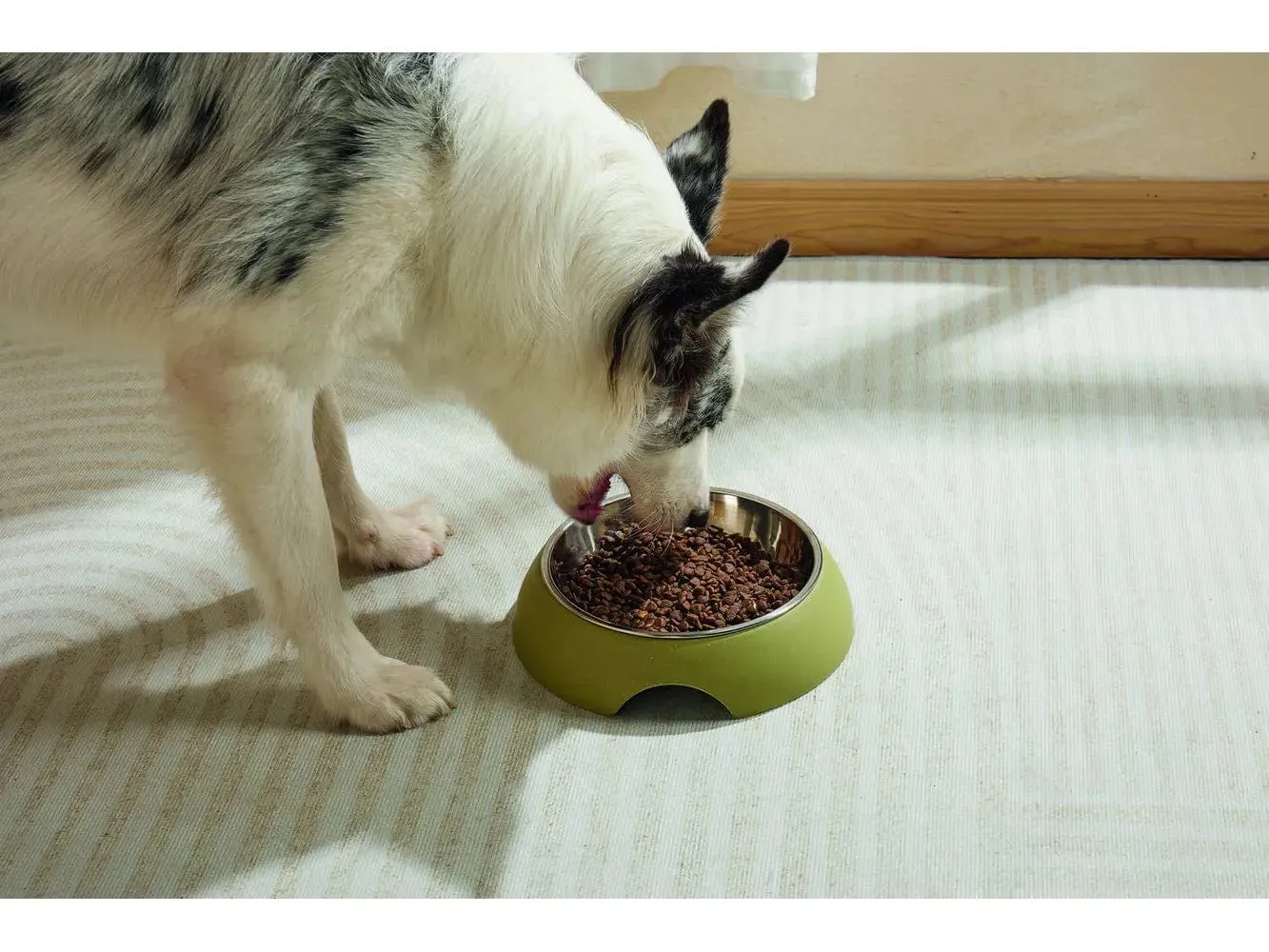 Eco Bamboo Bowl Olive 350ml Pets Qatar