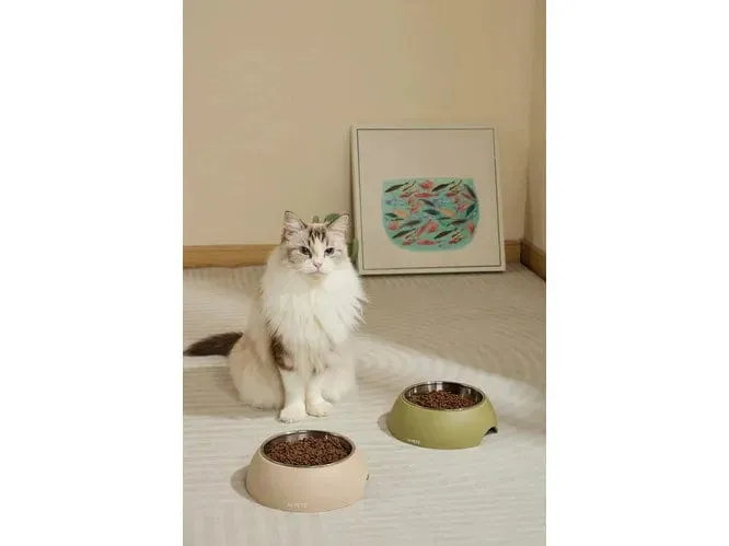Eco Bamboo Bowl Olive 350ml Pets Qatar