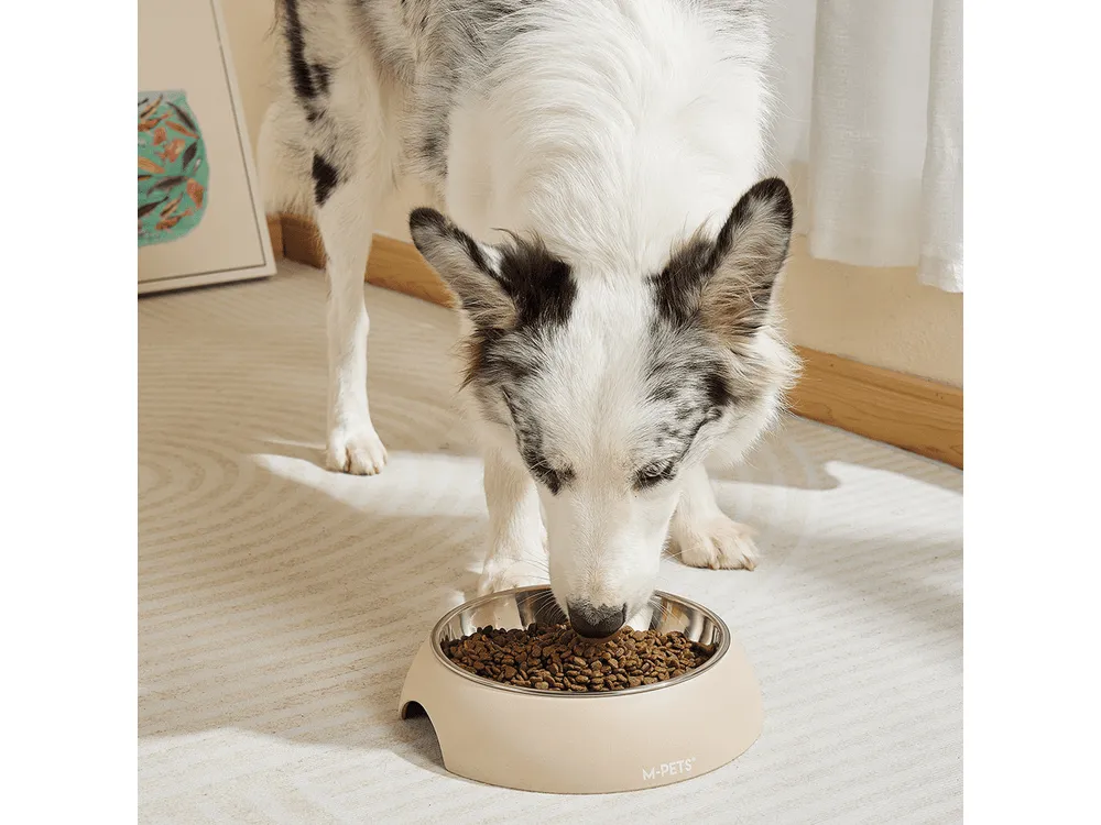Eco Bamboo Bowl Sand 600ml Pets Qatar