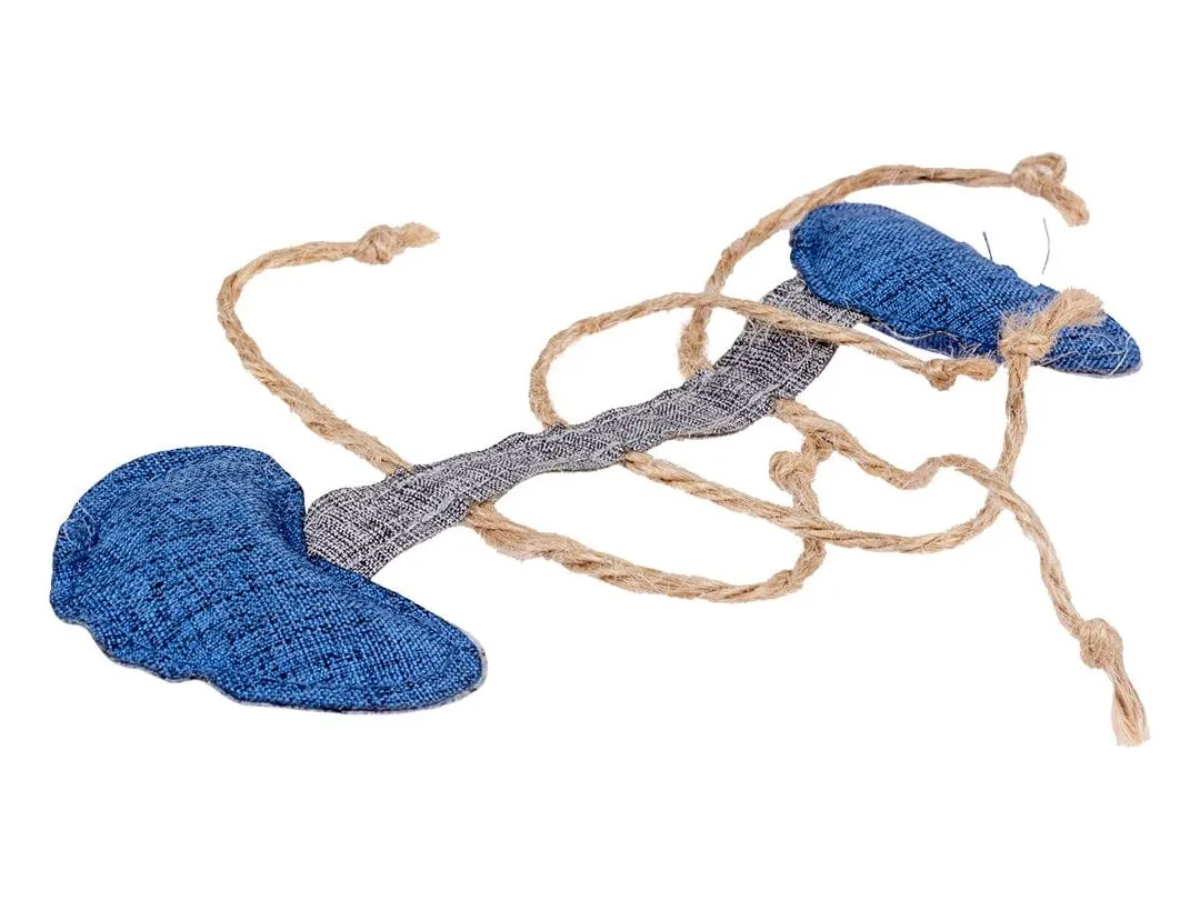 ECO Navy fish bone & catnip 14,5x5x1cm Multicolour Pets Qatar