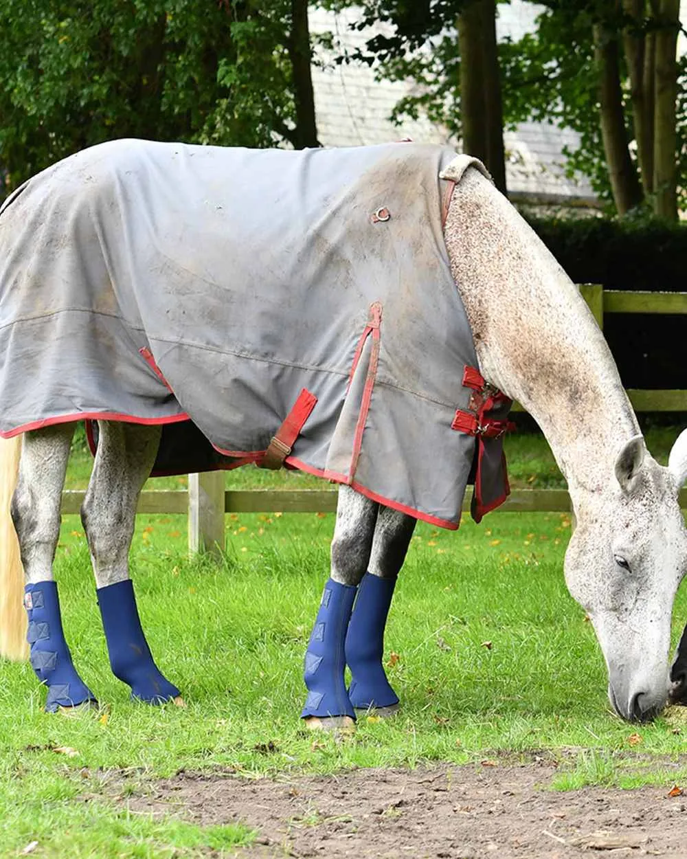 Equilibrium Equi-Chaps Hardy Chaps