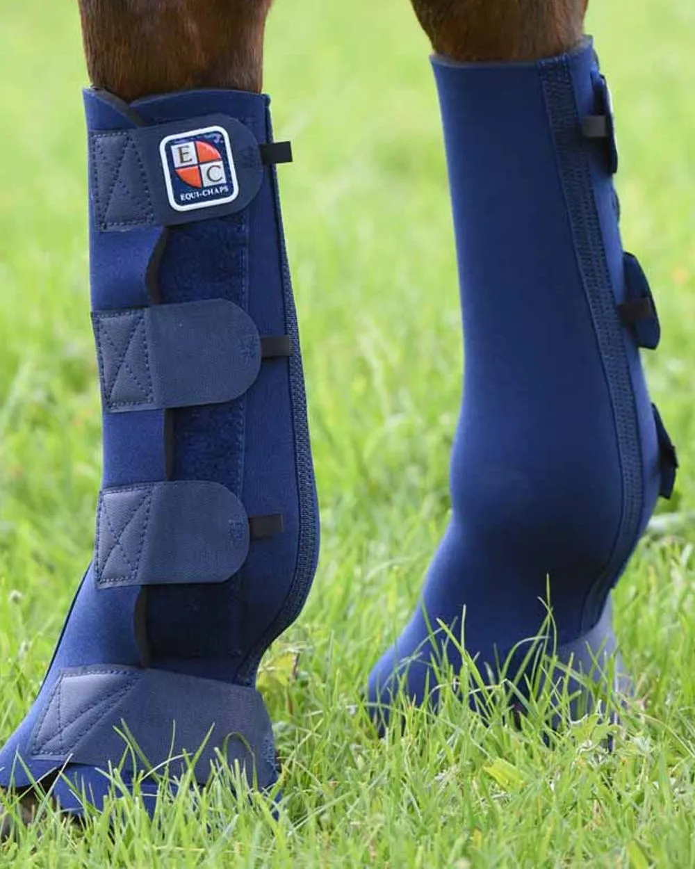 Equilibrium Equi-Chaps Hardy Chaps