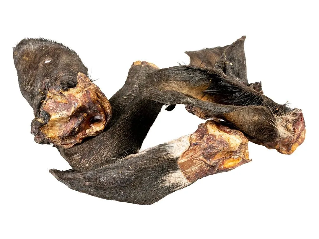 Farmz beef ears with hair 3st - 20x9,5cm Pets Qatar