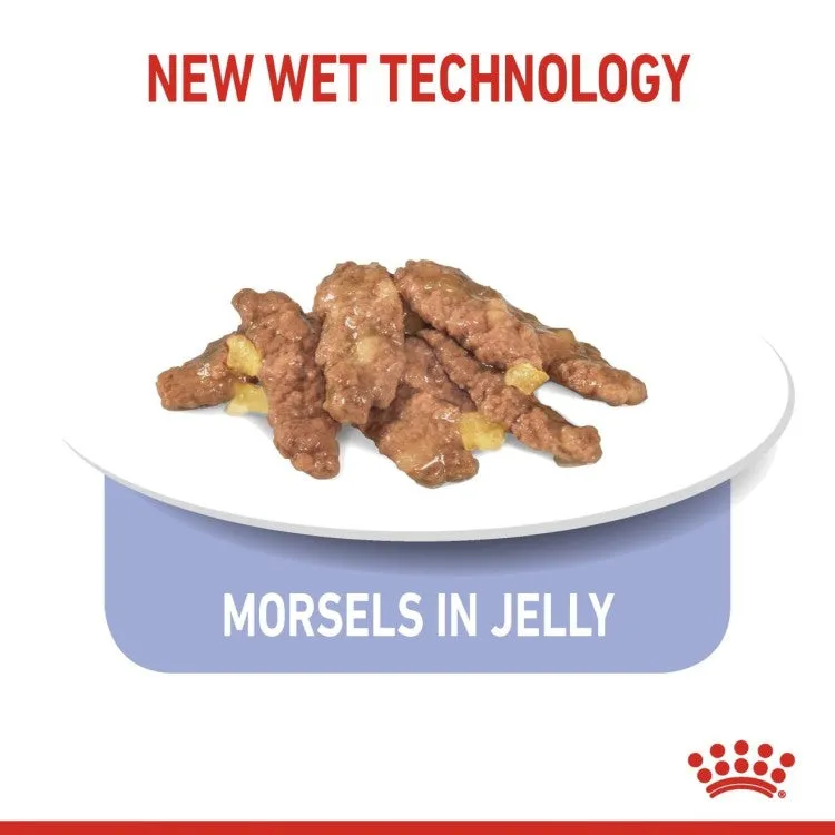 Feline Health Nutrition Indoor 7  Jelly (WET FOOD - Pouches) 12 x 85g Pets Qatar