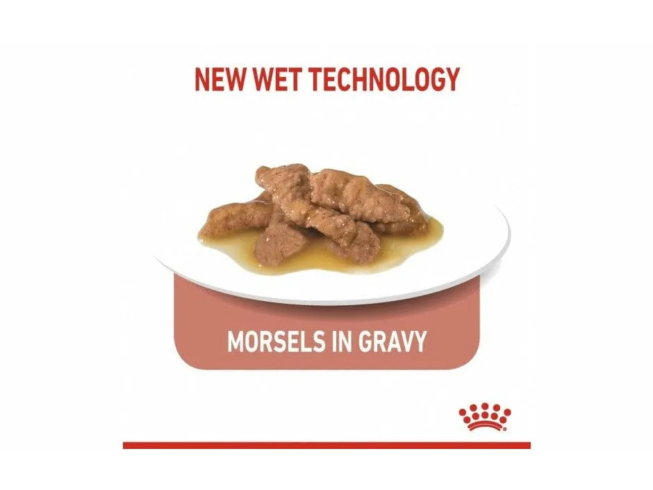 Feline Health Nutrition Indoor 7  (WET FOOD - Pouches) 85g Pets Qatar
