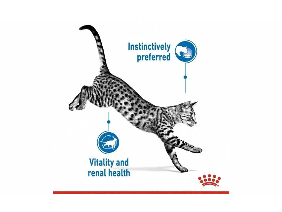 Feline Health Nutrition Indoor 7  (WET FOOD - Pouches) 85g Pets Qatar