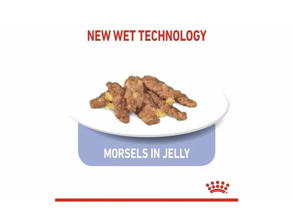 Feline Health Nutrition Indoor Jelly (85g WET FOOD - Pouches) Pets Qatar