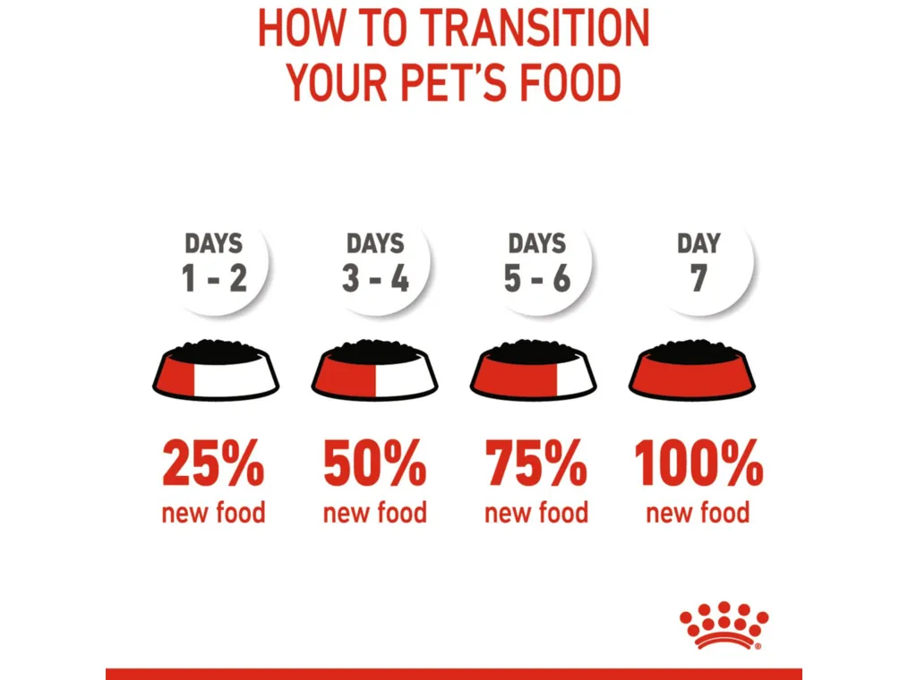 Feline Health Nutrition Kitten Sterilised Jelly 12x85g (WET FOOD - Pouches) Pets Qatar