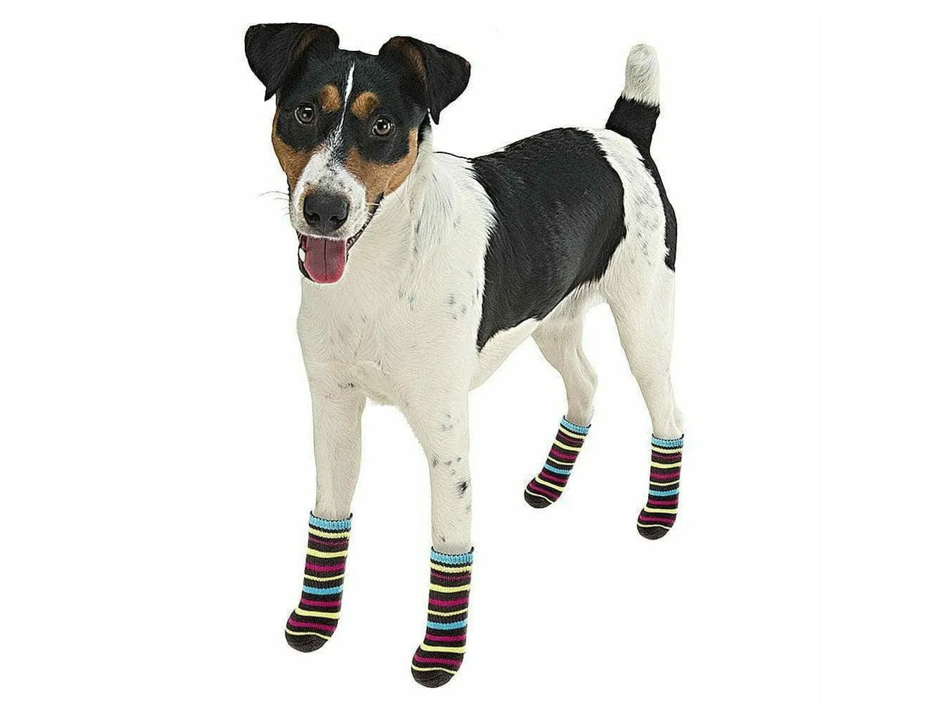 FERPLAST PET SOCKS ANTISLIP MEDIUM (x4) Pets Qatar