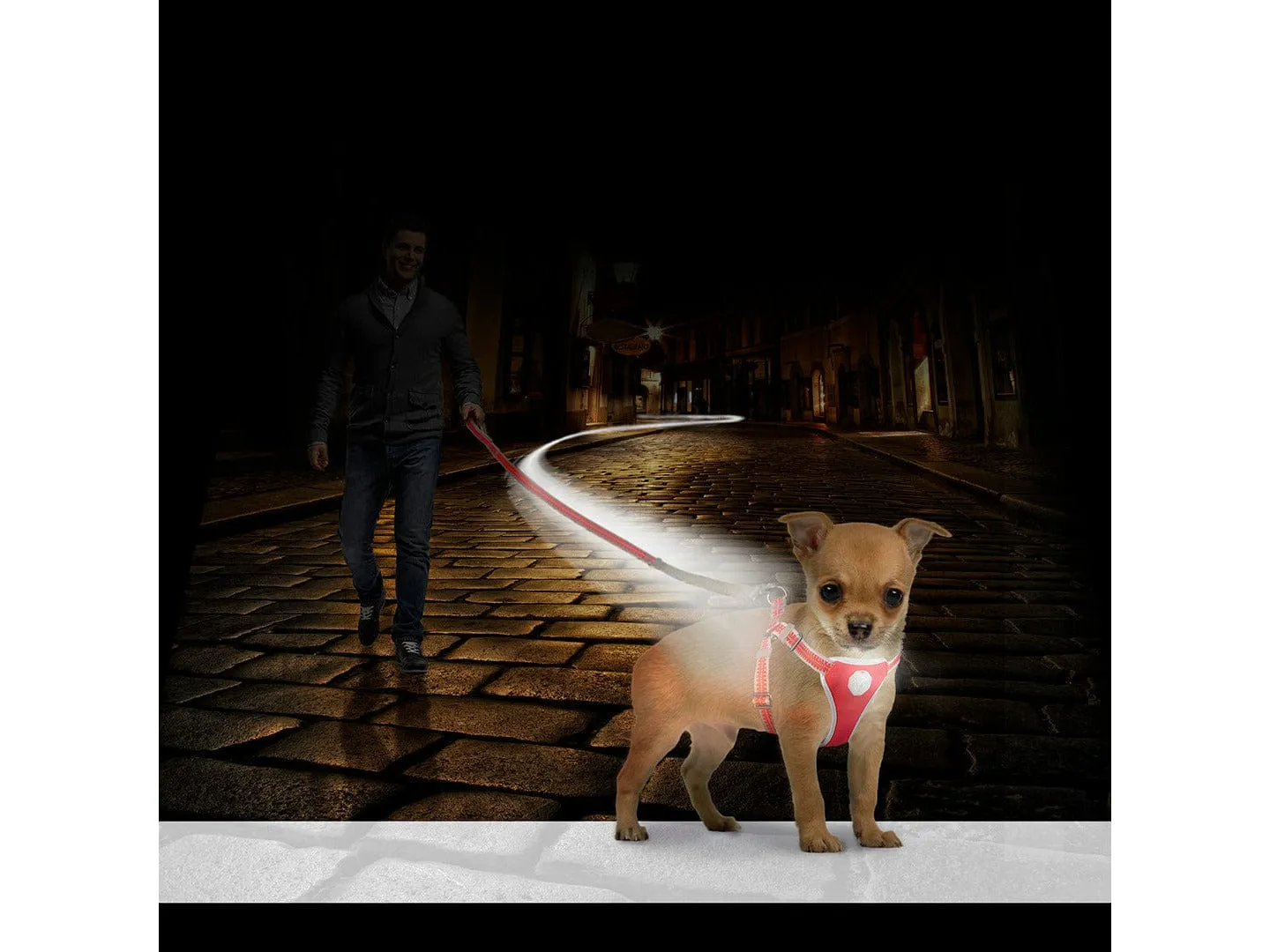 FLASHLIGHT HARNESS WITH LEASH 120x35-45cm/15mm Pets Qatar
