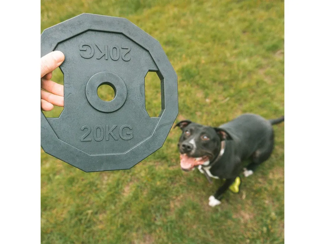 For The Gainz - barbell dog toy 22,8x22,8x1,7cm black Pets Qatar