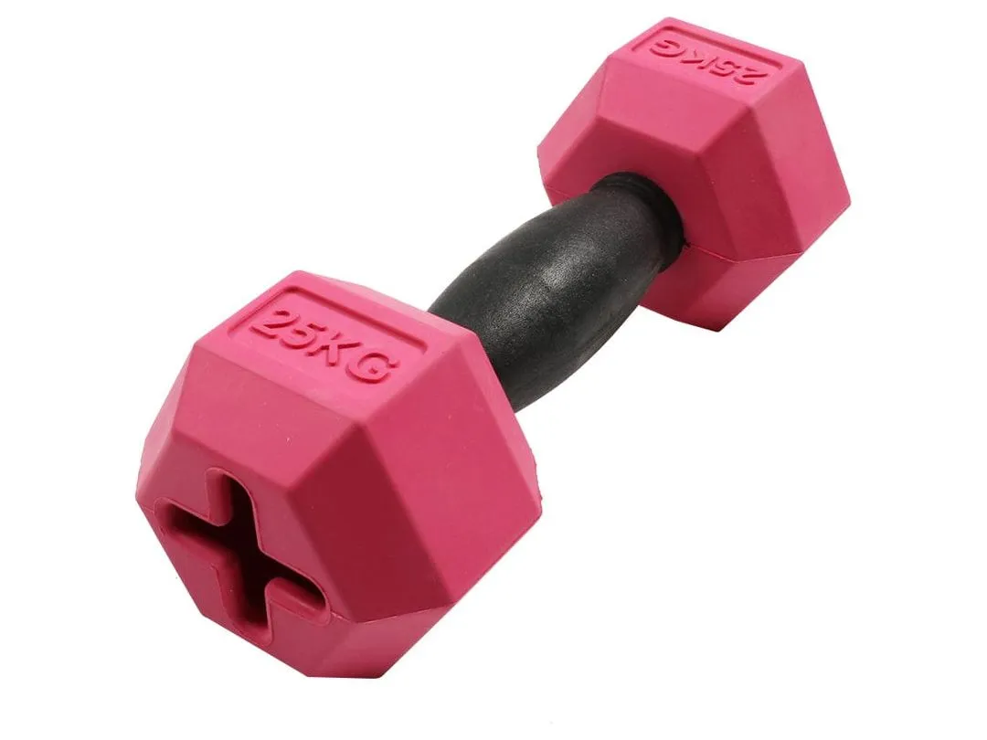For The Gainz - Dumbbell Dog Toy Purple/Black Pets Qatar
