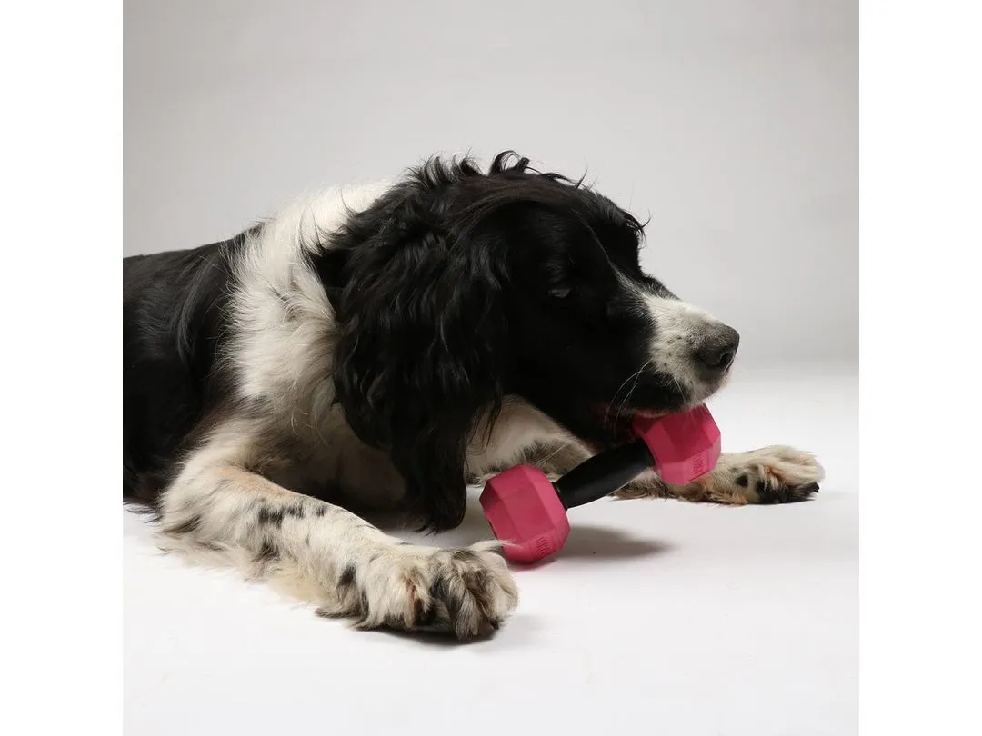 For The Gainz - Dumbbell Dog Toy Purple/Black Pets Qatar