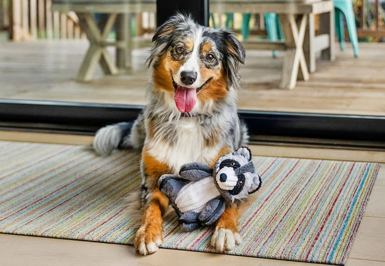 Forest Friends Robby the Raccoon