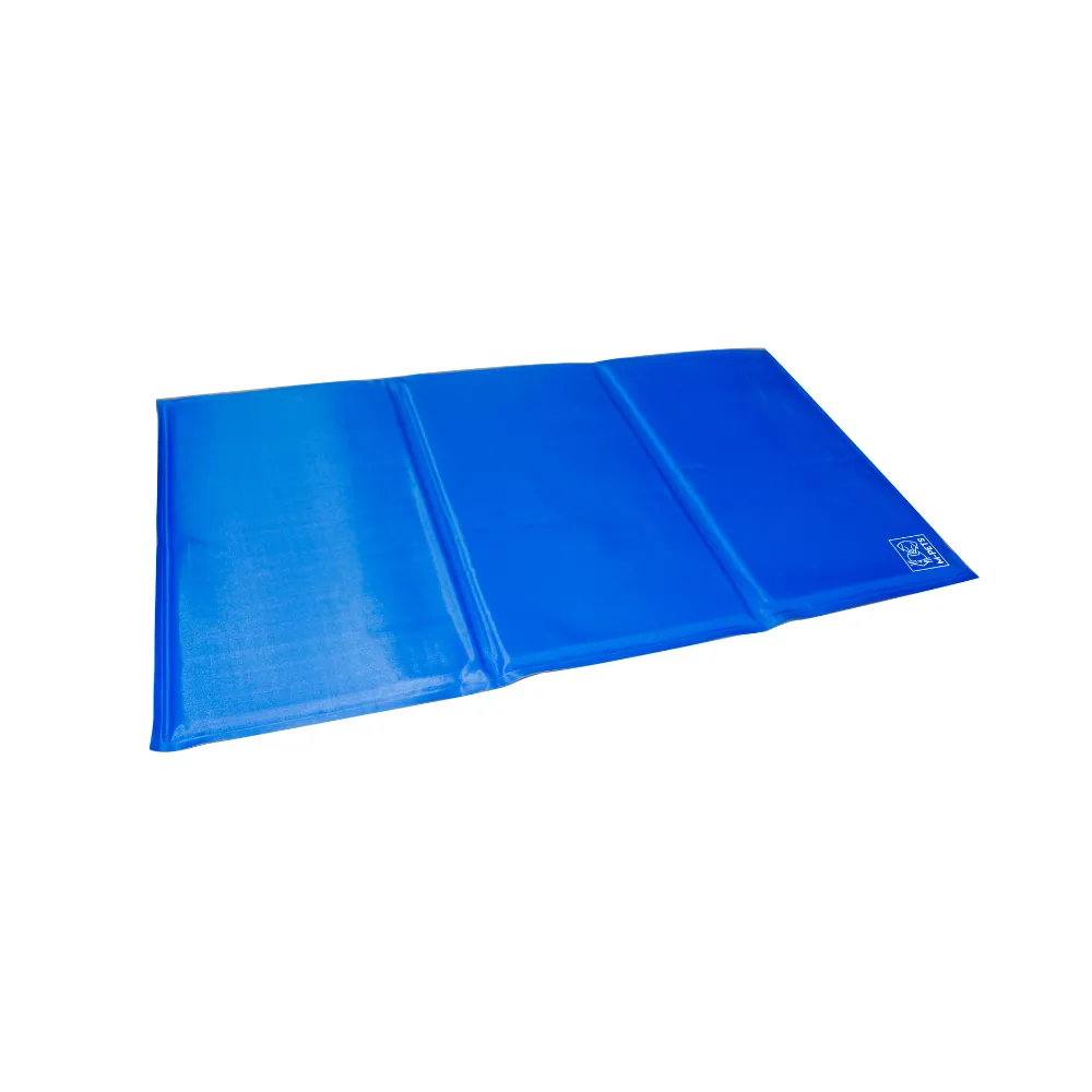 FROZEN Cooling Mats