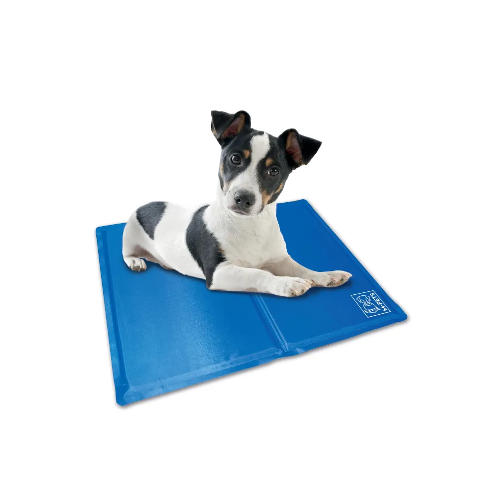 FROZEN Cooling Mats