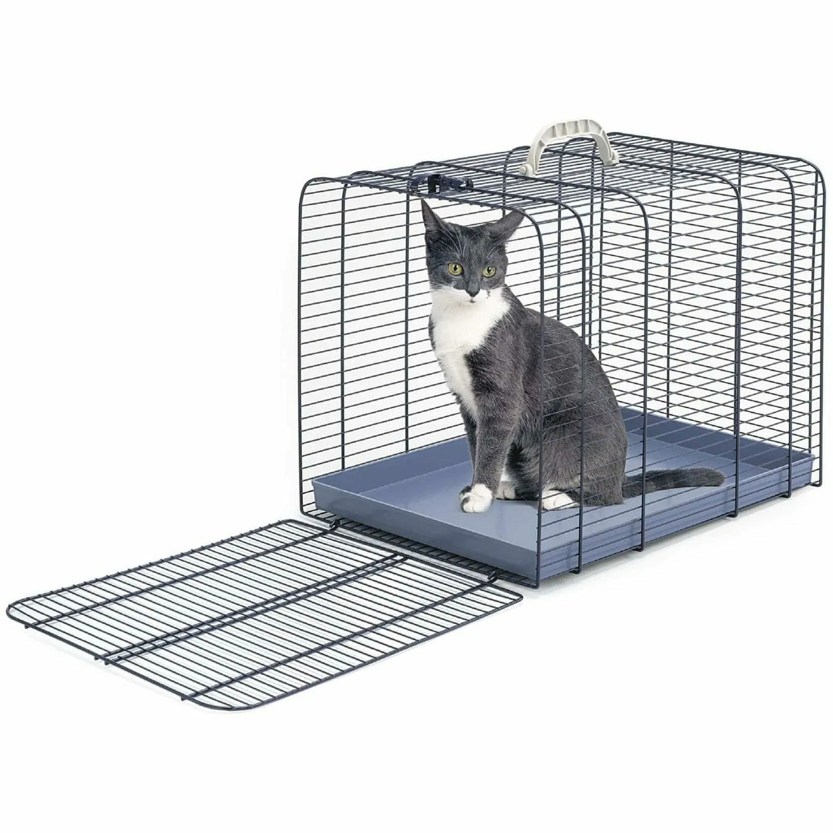 Gabbia Trasporto Gatto 2 Blu/Ghiaccio Pets Qatar