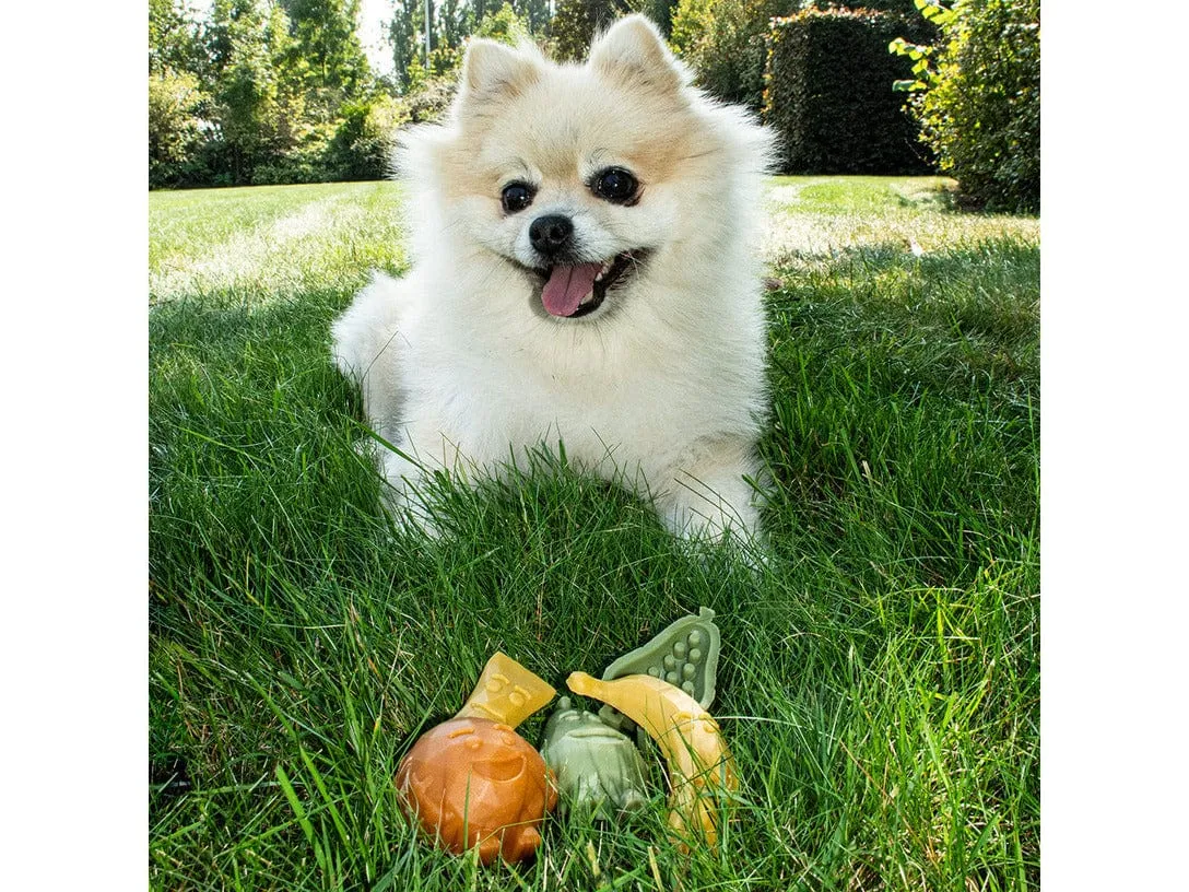Garden Bites Fruity Friends 12,5Cm - 3Pcs Mixed Colors Pets Qatar