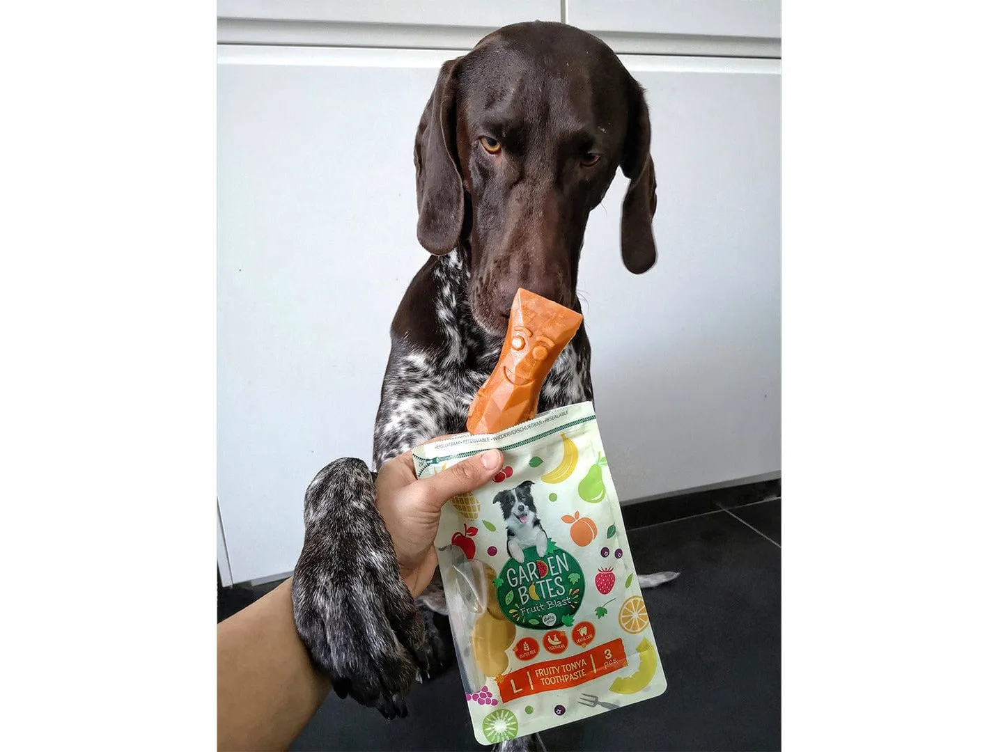 Garden Bites Fruity Tonya Toothpaste 13,5Cm - 3Pcs Mixed Colors Pets Qatar