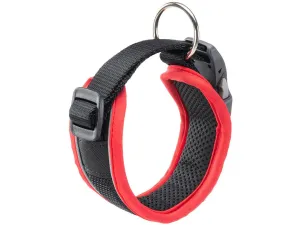 Genius C20/43 Red Collar Pets Qatar