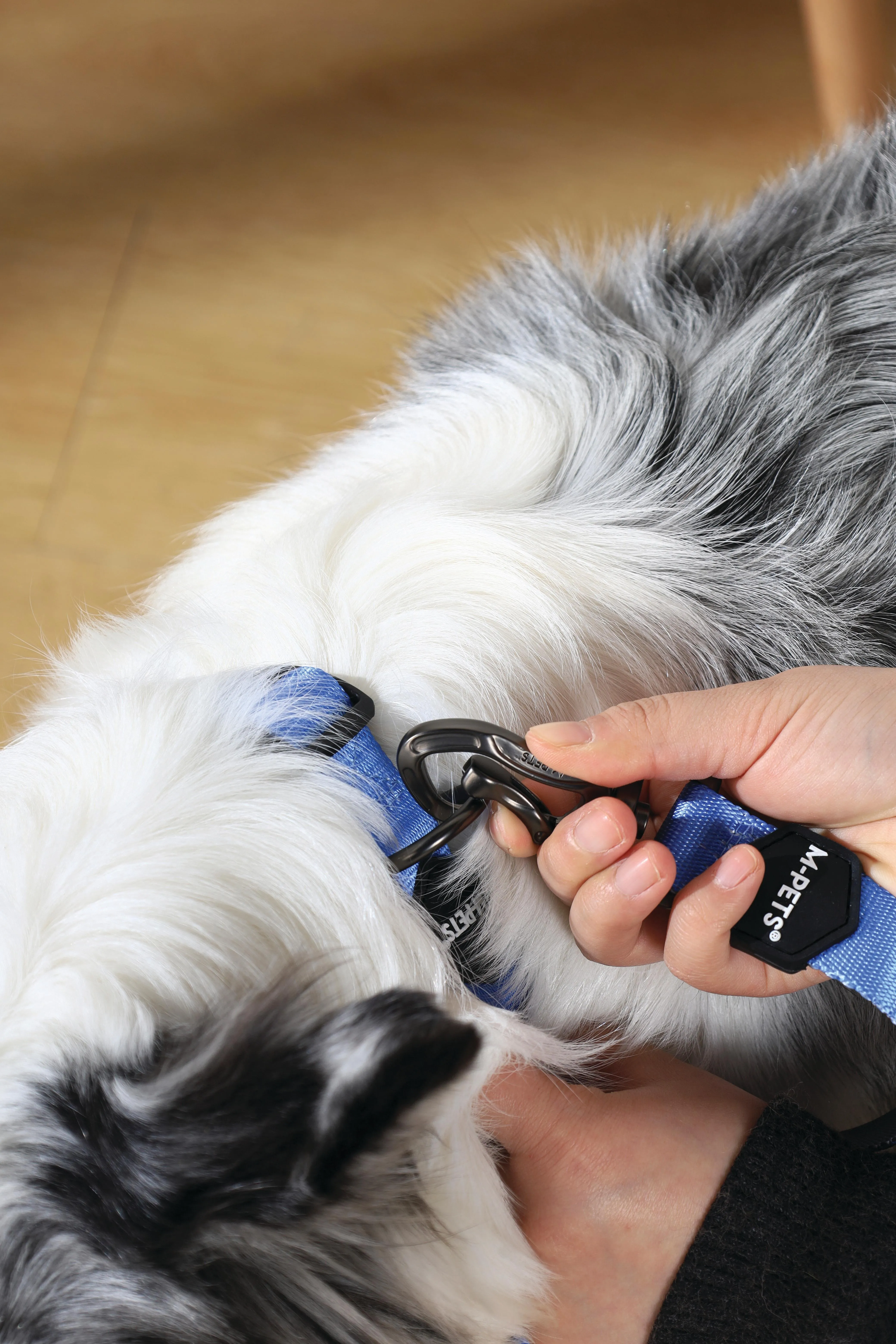 GENTLE DOG Leash Blue