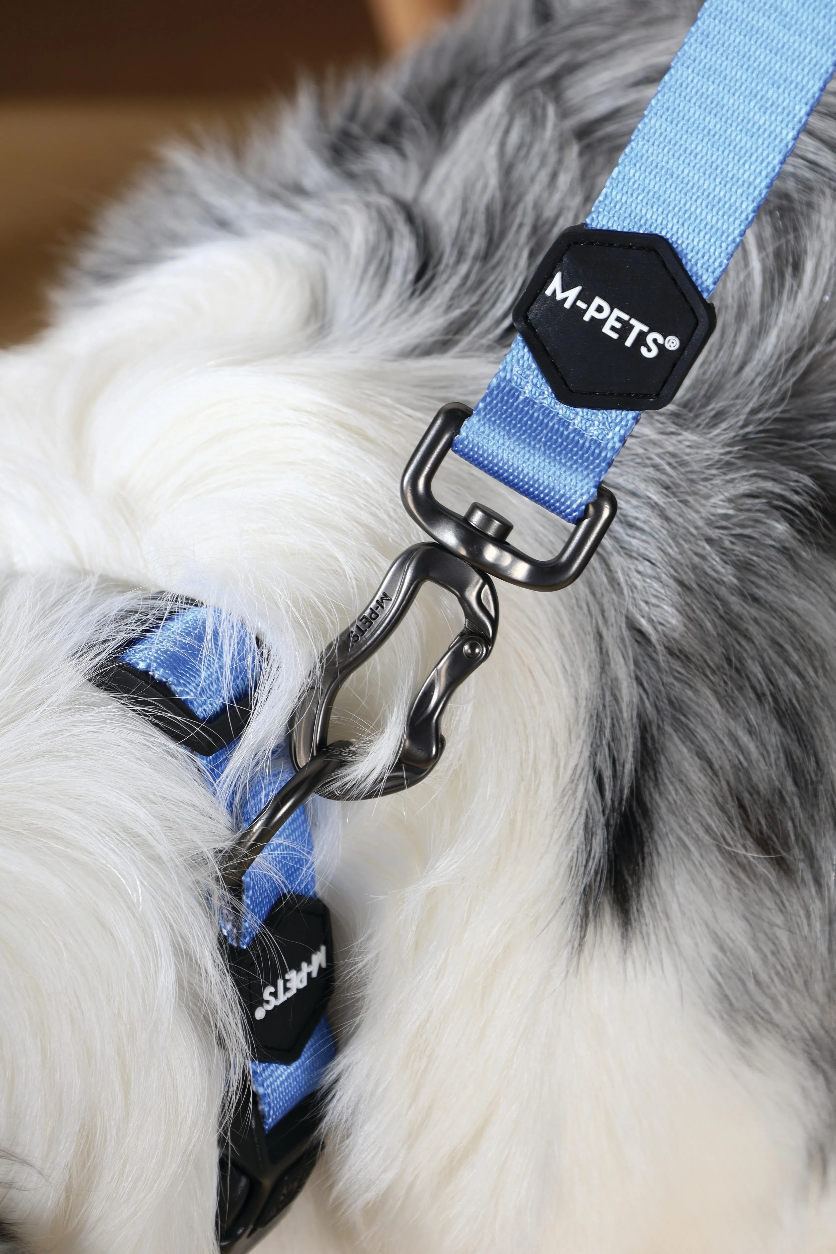 GENTLE DOG Leash Blue
