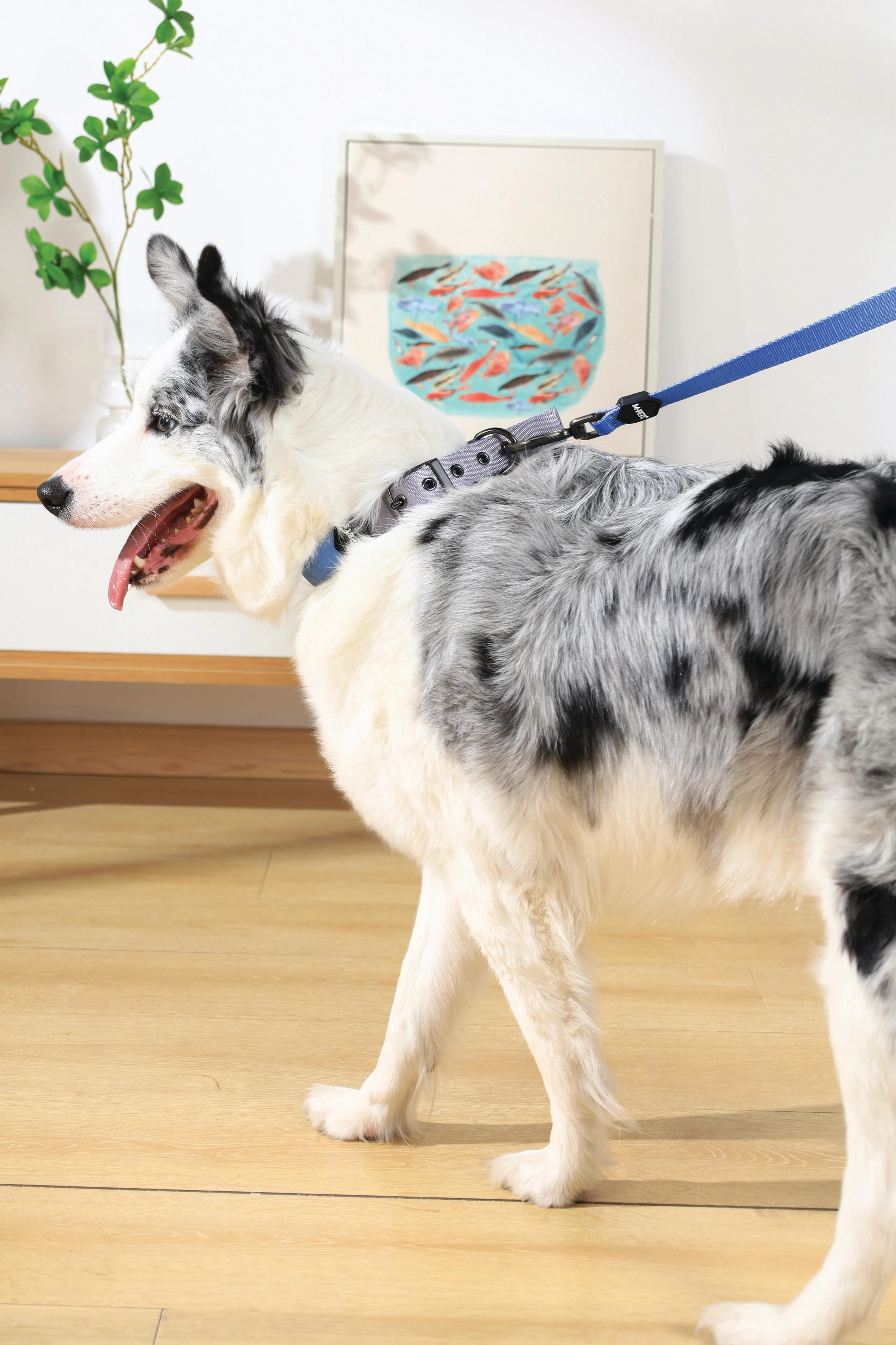 GENTLE DOG Leash Blue
