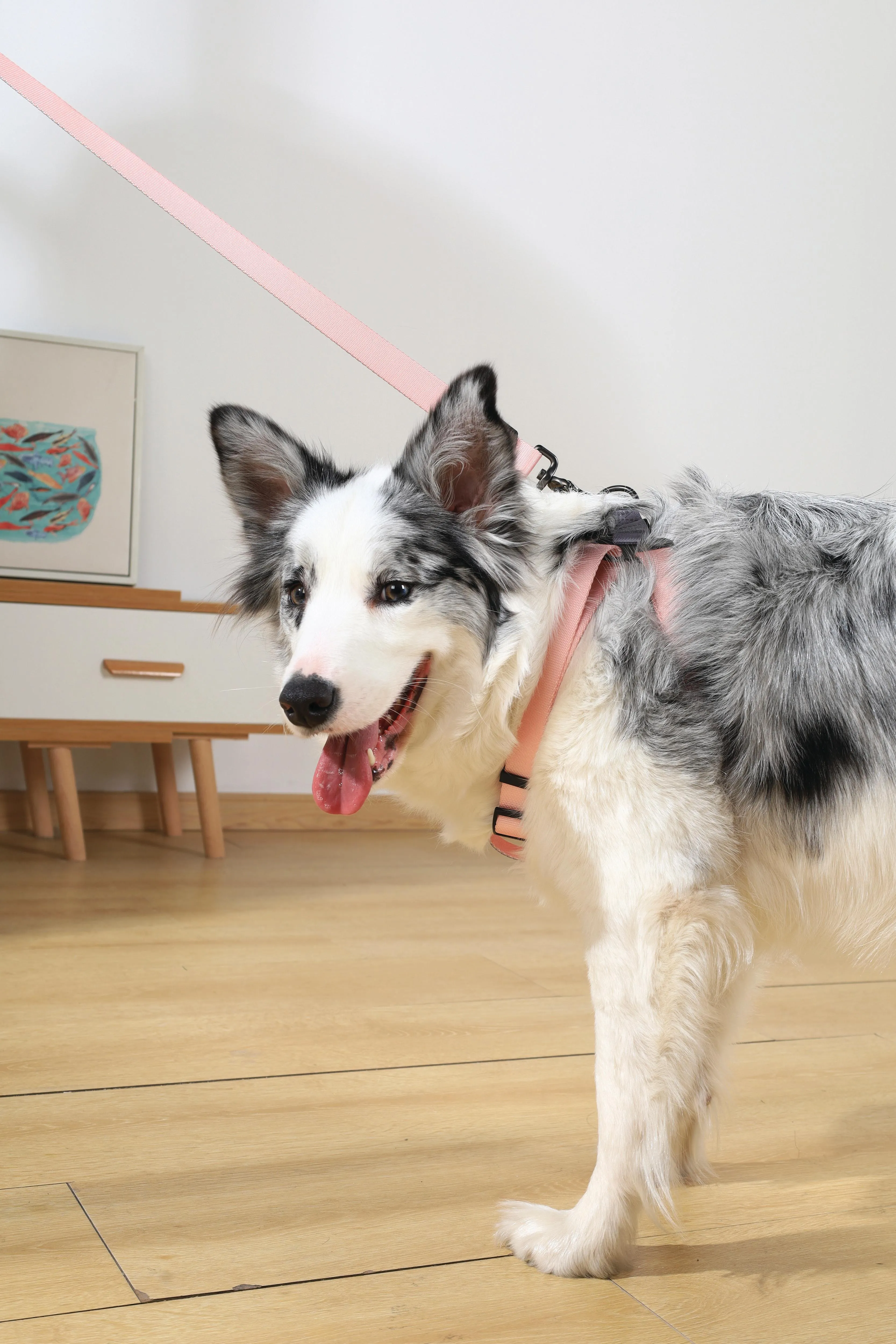 GENTLE DOG Leash Pink
