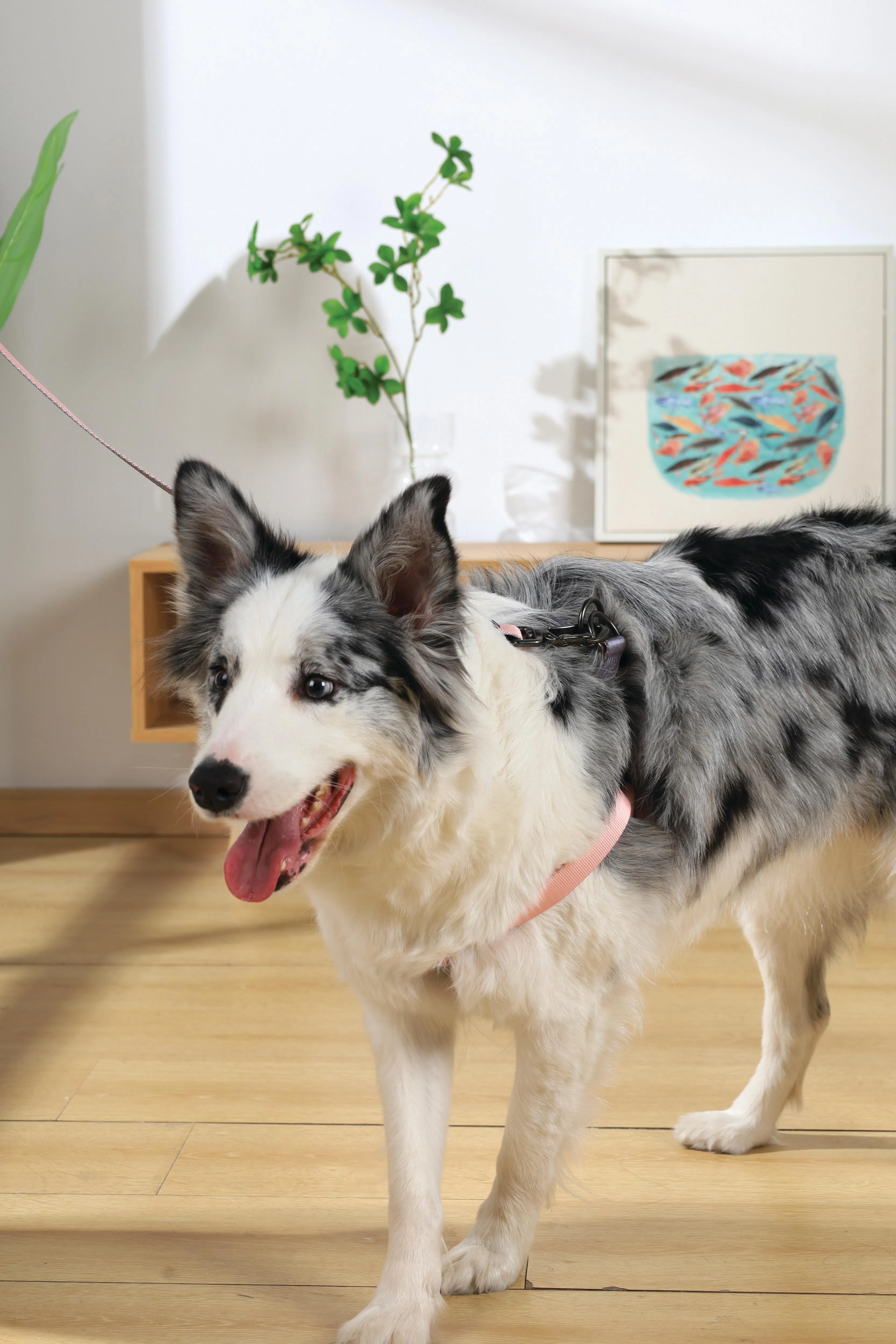 GENTLE DOG Leash Pink