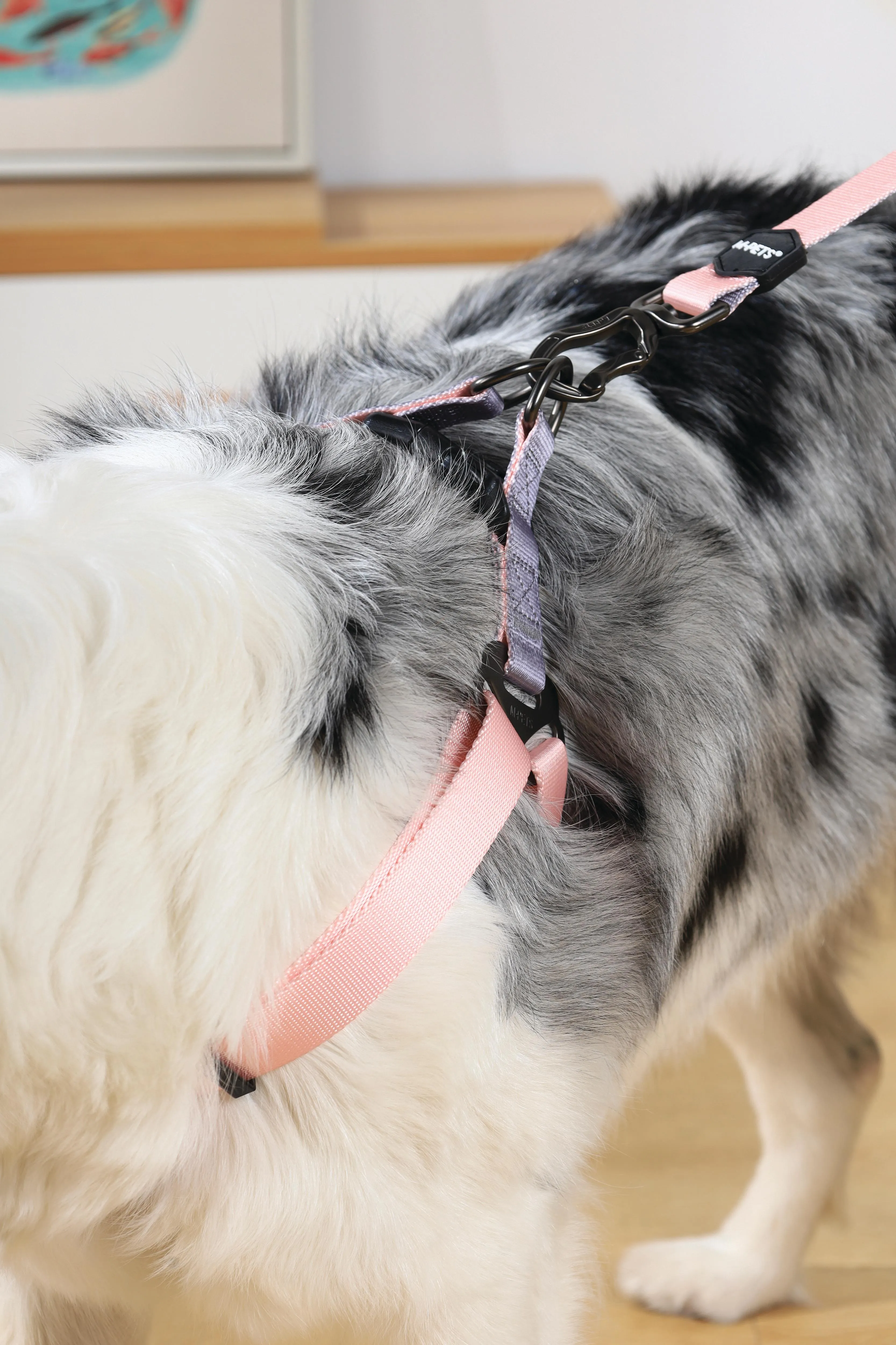 GENTLE DOG Leash Pink