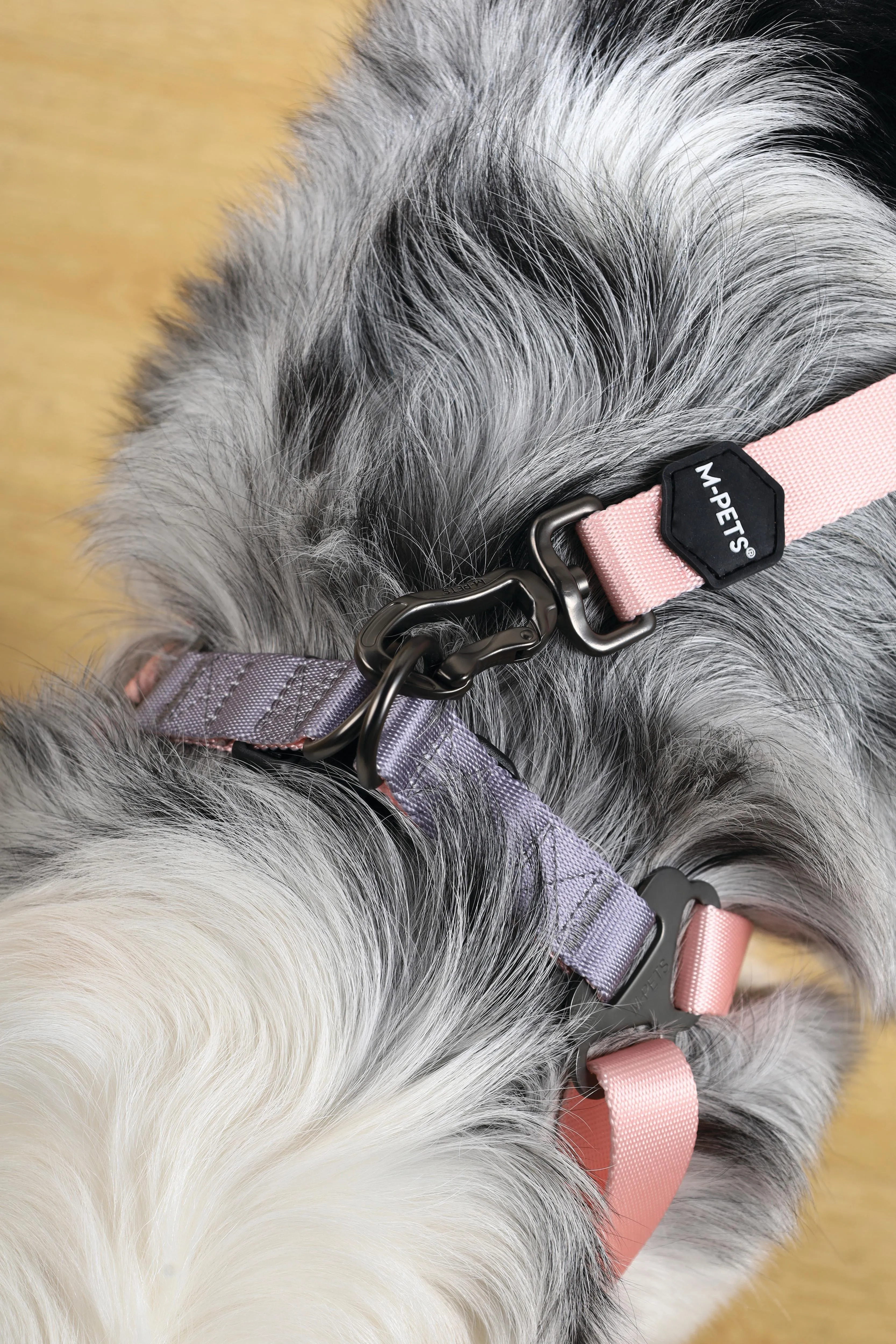 GENTLE DOG Leash Pink