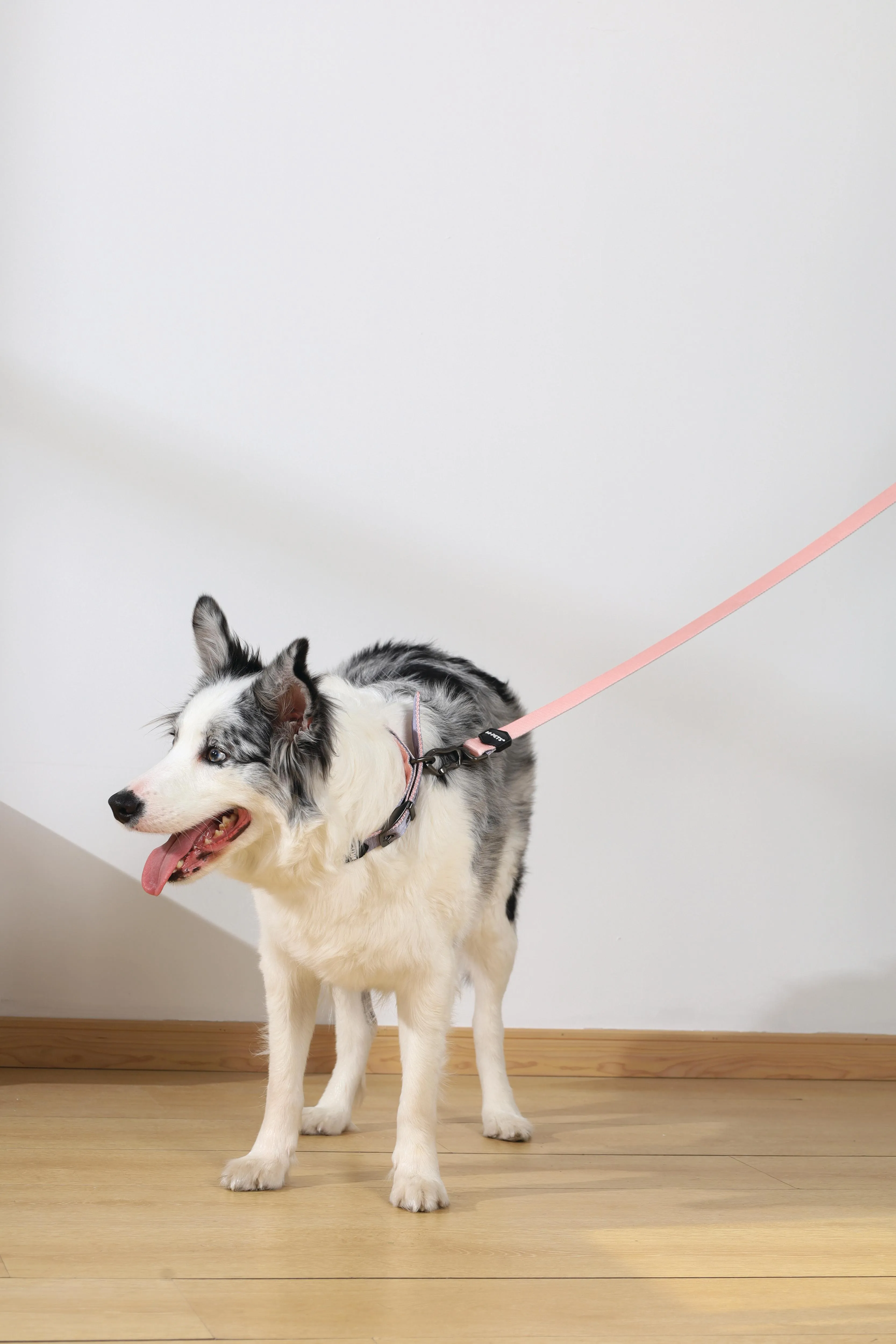 GENTLE DOG Padded Collar Pink