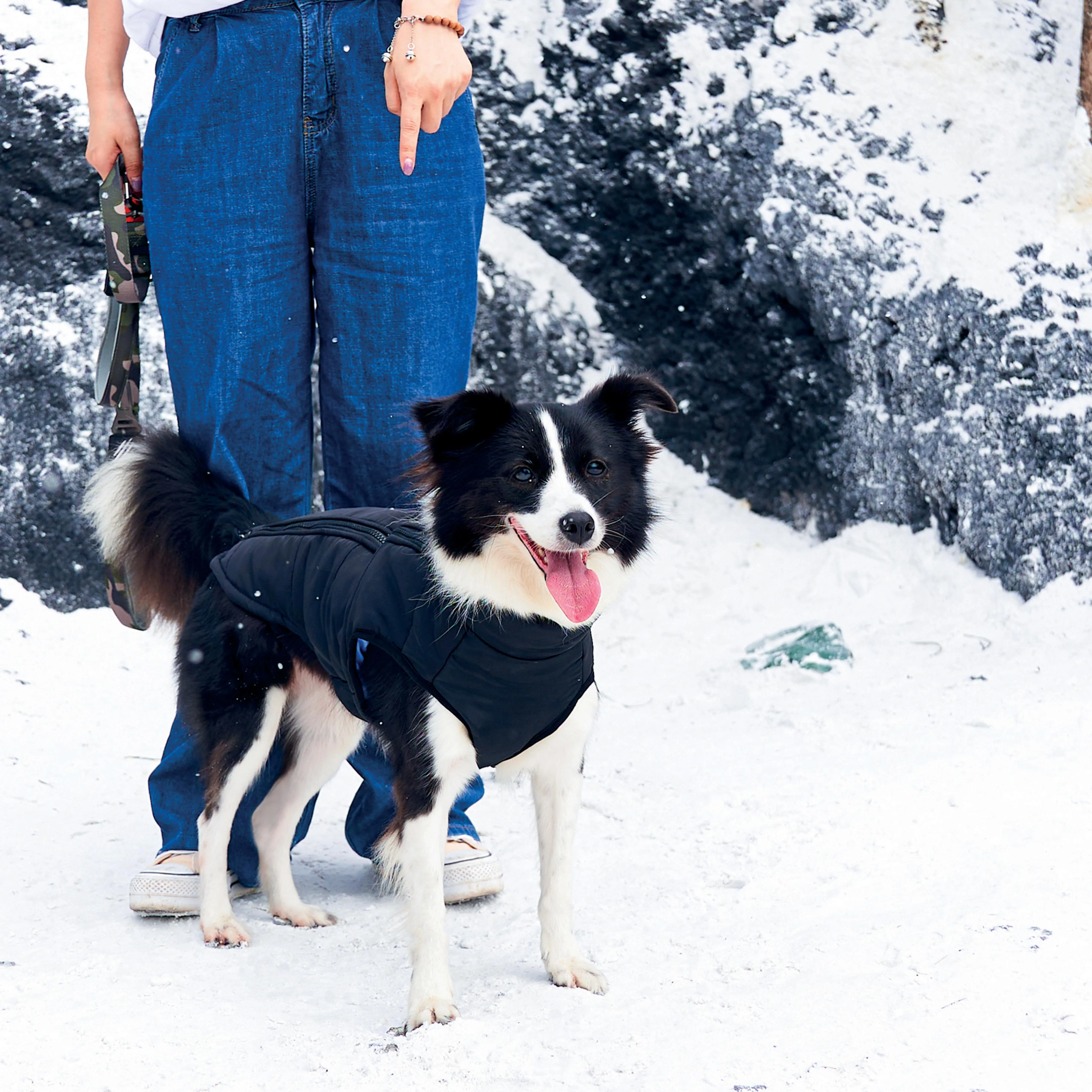 GENTLE DOG Winter Jacket Black&Blue