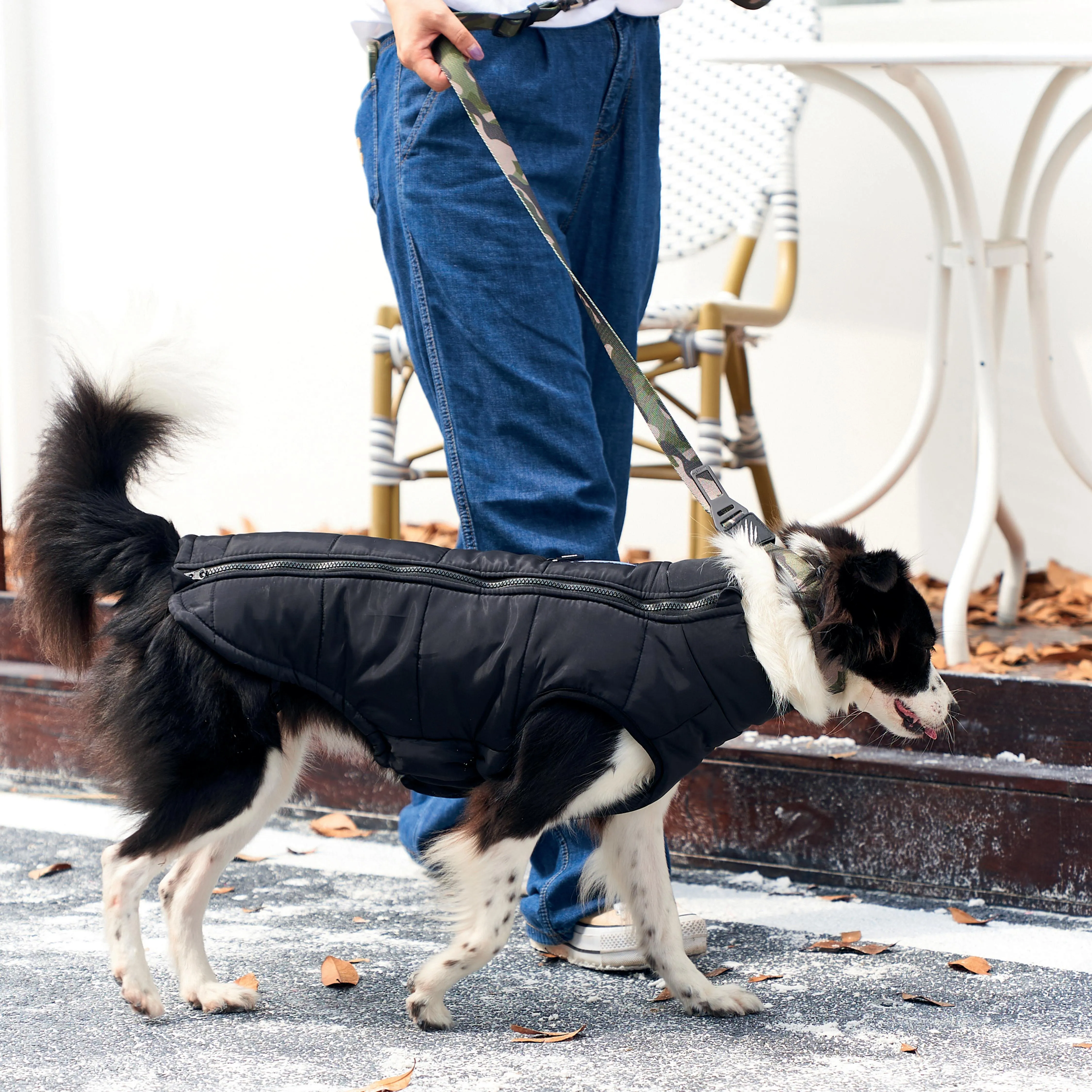 GENTLE DOG Winter Jacket Black&Blue