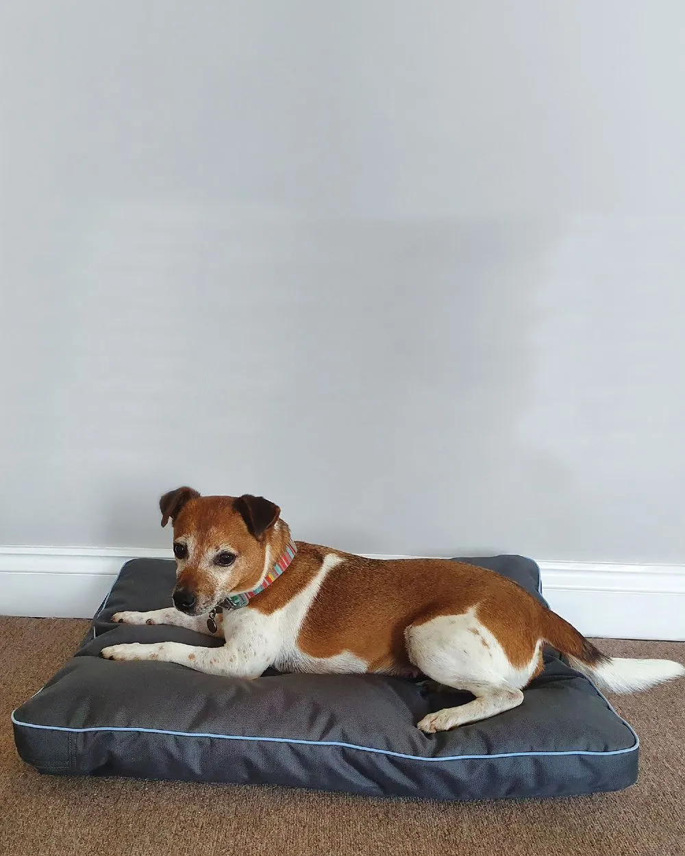 Henry Wag Brecon Adventure Bed