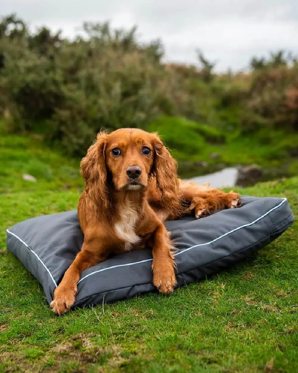Henry Wag Brecon Adventure Bed